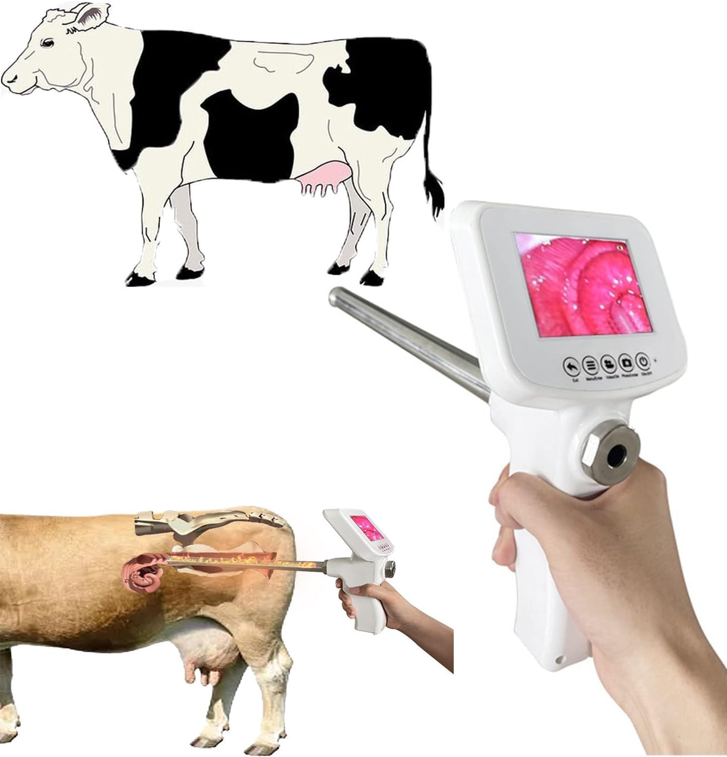 生産獣医療システム 乳牛編 1.2.3 生産獣医療システム乳牛編 - Google Books